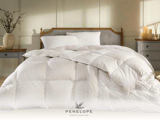 Penelope’den yapılacak alışverişlere özel ekstra %15 indirim!